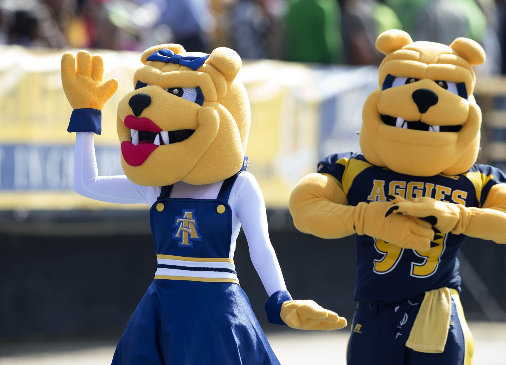 NCA&T Homecoming photo page